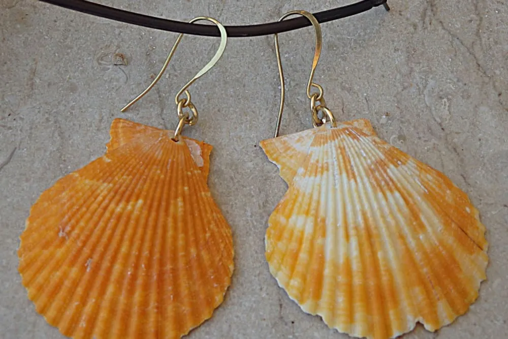 Shell  Earrings
