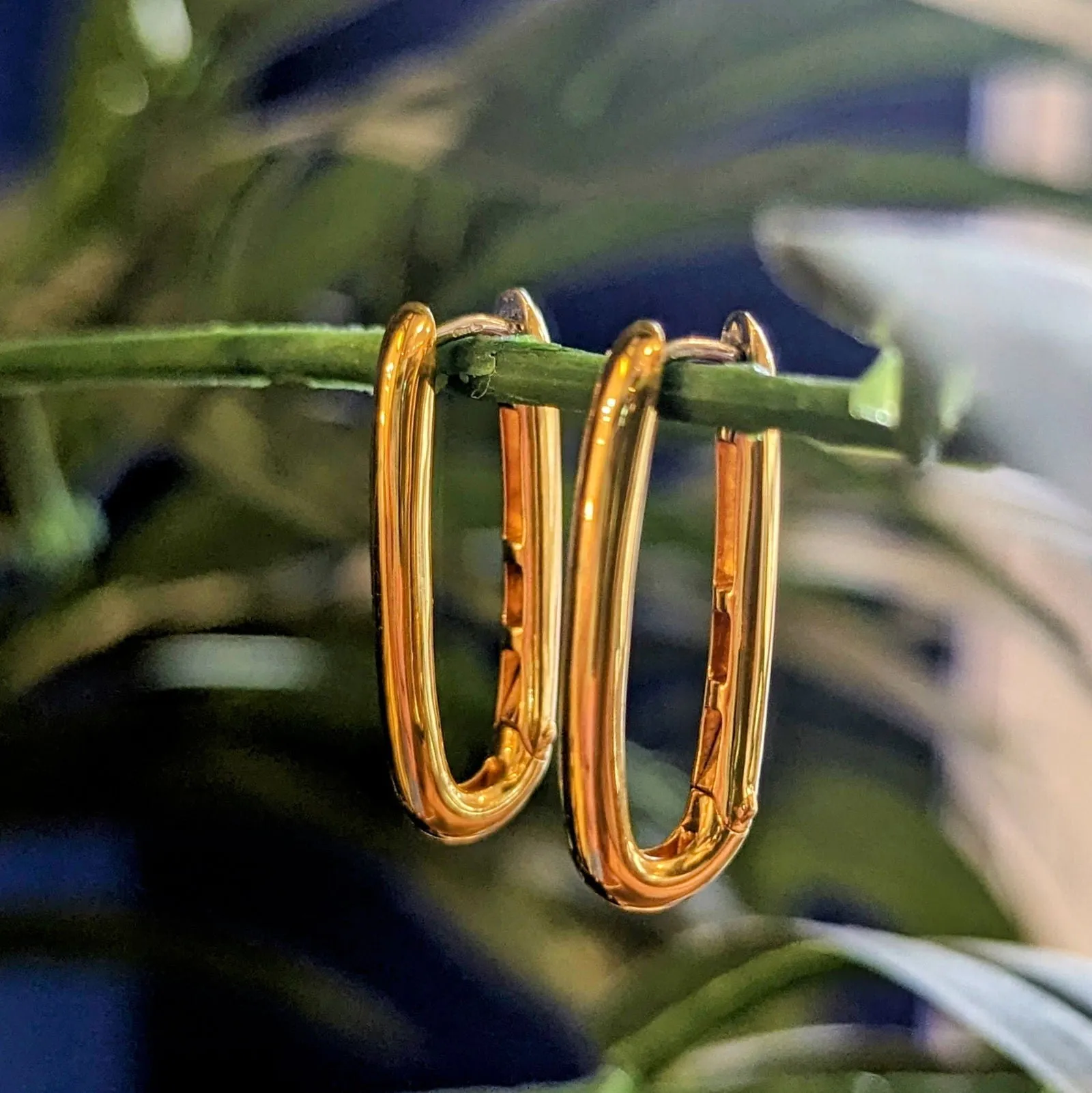 Xl Oval Hoops